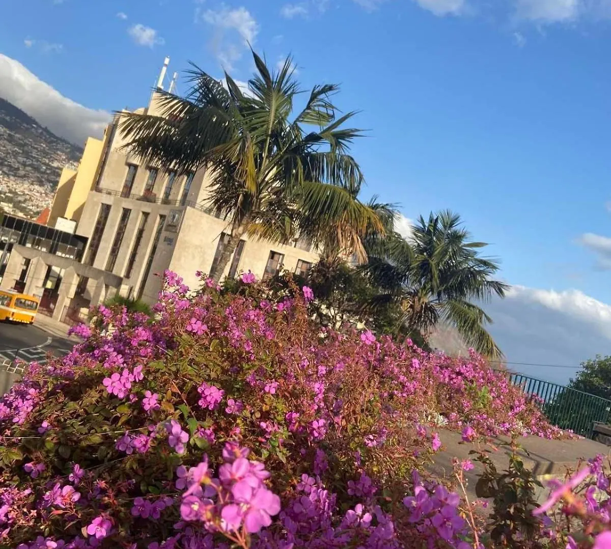 Center Marina View Brown Studio Funchal  Apartment Funchal (Madeira)